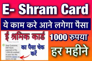 E Shram Card Per Month