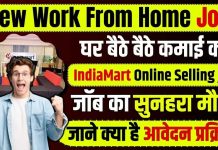IndiaMart Work From Home Job:  घर बैठे काम करके इंडियामार्ट से कमाए 25 हजार प्रति महीने, नई भर्ती जल्दी आवेदन करे IndiaMart Work From Home Job