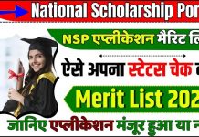 National Scholarship Portal Merit List 2023: NSP Application मेरिट लिस्ट के लिए मंजूर हुआ या नहीं जाने प्रक्रिया? National Scholarship Portal Merit List 2023